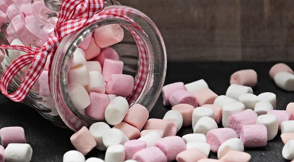 Can dogs eat marshmallow - are marshmallow bad for dogs - the sugary truth