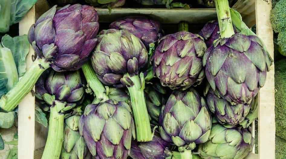 can dogs eat artichoke - fresh ripe