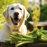 Can Dogs Eat Asparagus