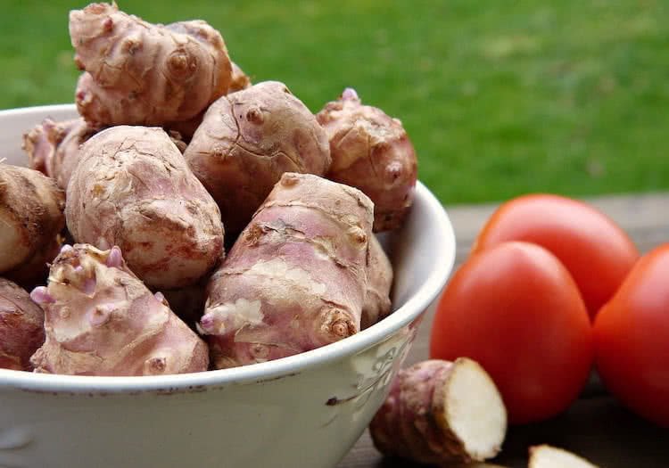 can dogs eat jerusalem artichoke