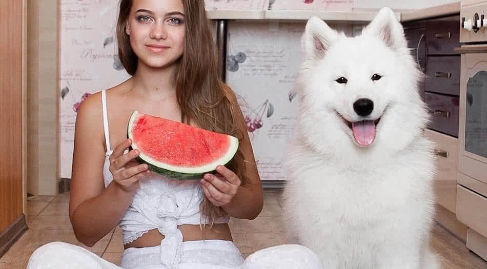 Can Dogs Eat Watermelon Everyday