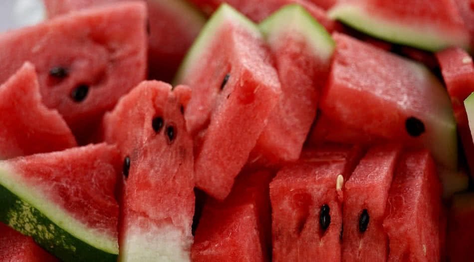 Can Dogs Eat Watermelon Rind