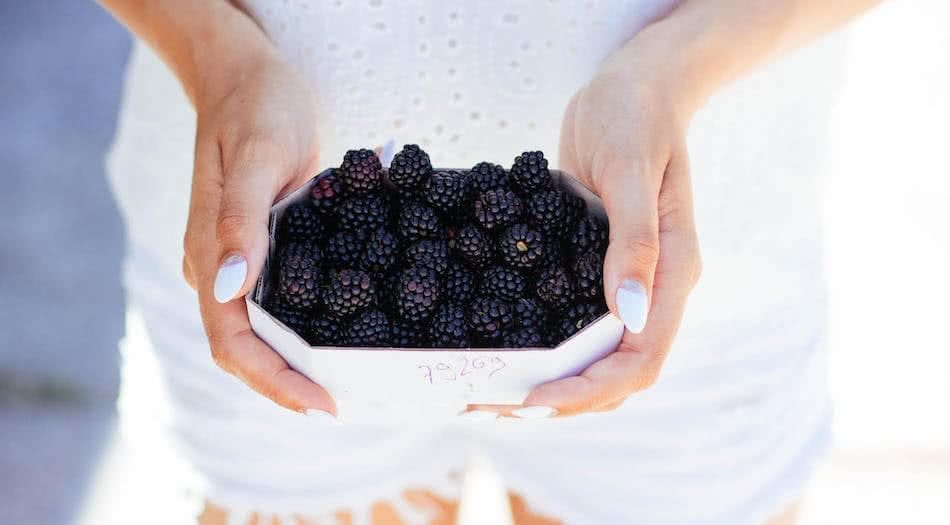 Can Dogs Eat Blackberry Jam