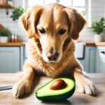 Can Dogs Eat Avocado