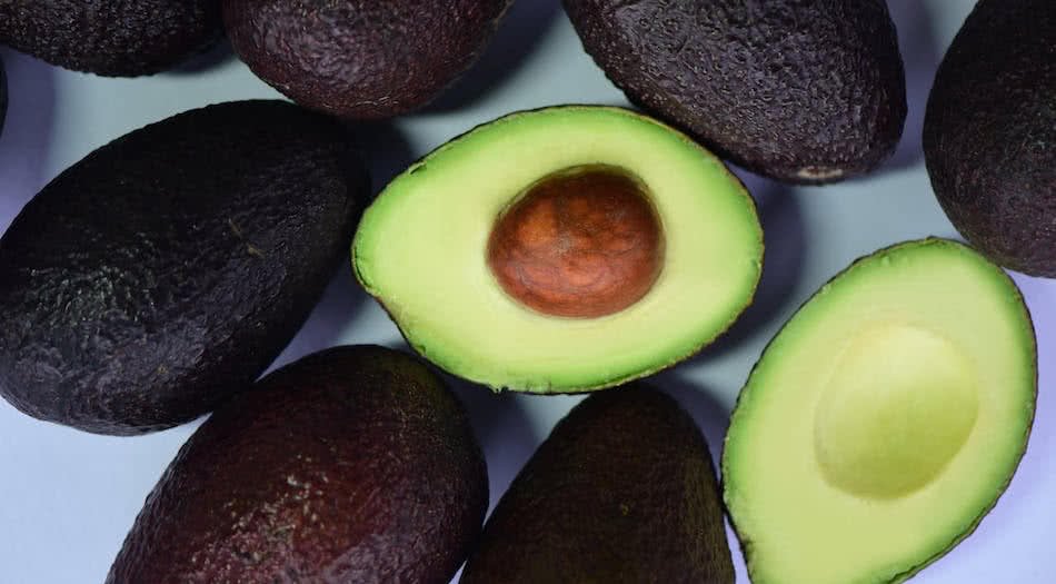 Are Avocadoes Good For Dogs?