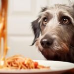 Can Dogs Eat Pasta