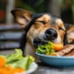 Can Dogs Eat Sweet Potato